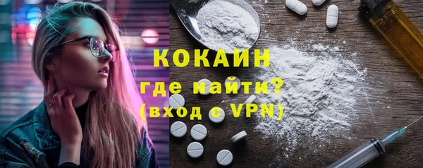 ешки Корсаков