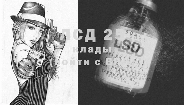 ешки Корсаков