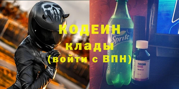 ешки Корсаков