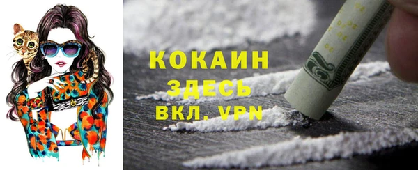apvp Коряжма