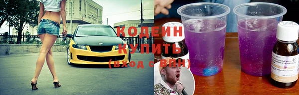 ешки Корсаков